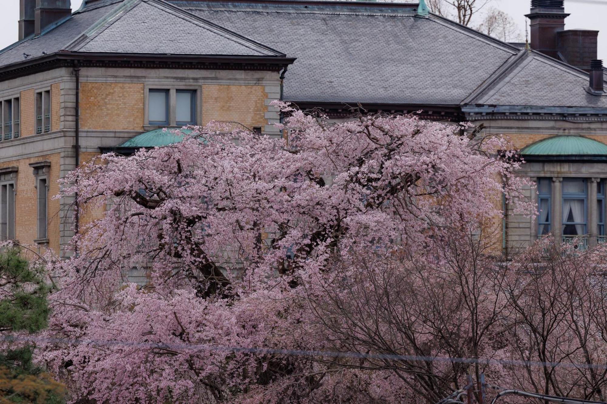Hotel Chourakukan Kyoto Gion 長楽館 Exteriér fotografie